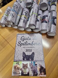 calendario gatti1