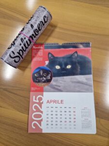 calendario gatti 3