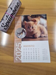 calendario gatti3