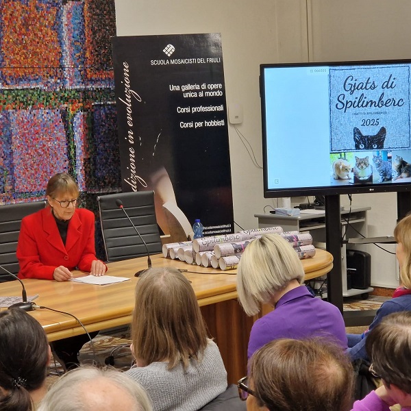 calendario gatti presentazione