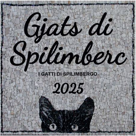 calendario gatti 2025