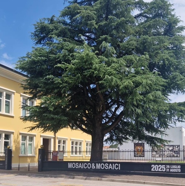 mosaicoemosaici2025