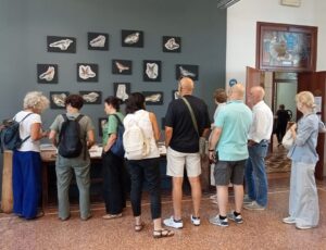 visitatori alla mostra 2025